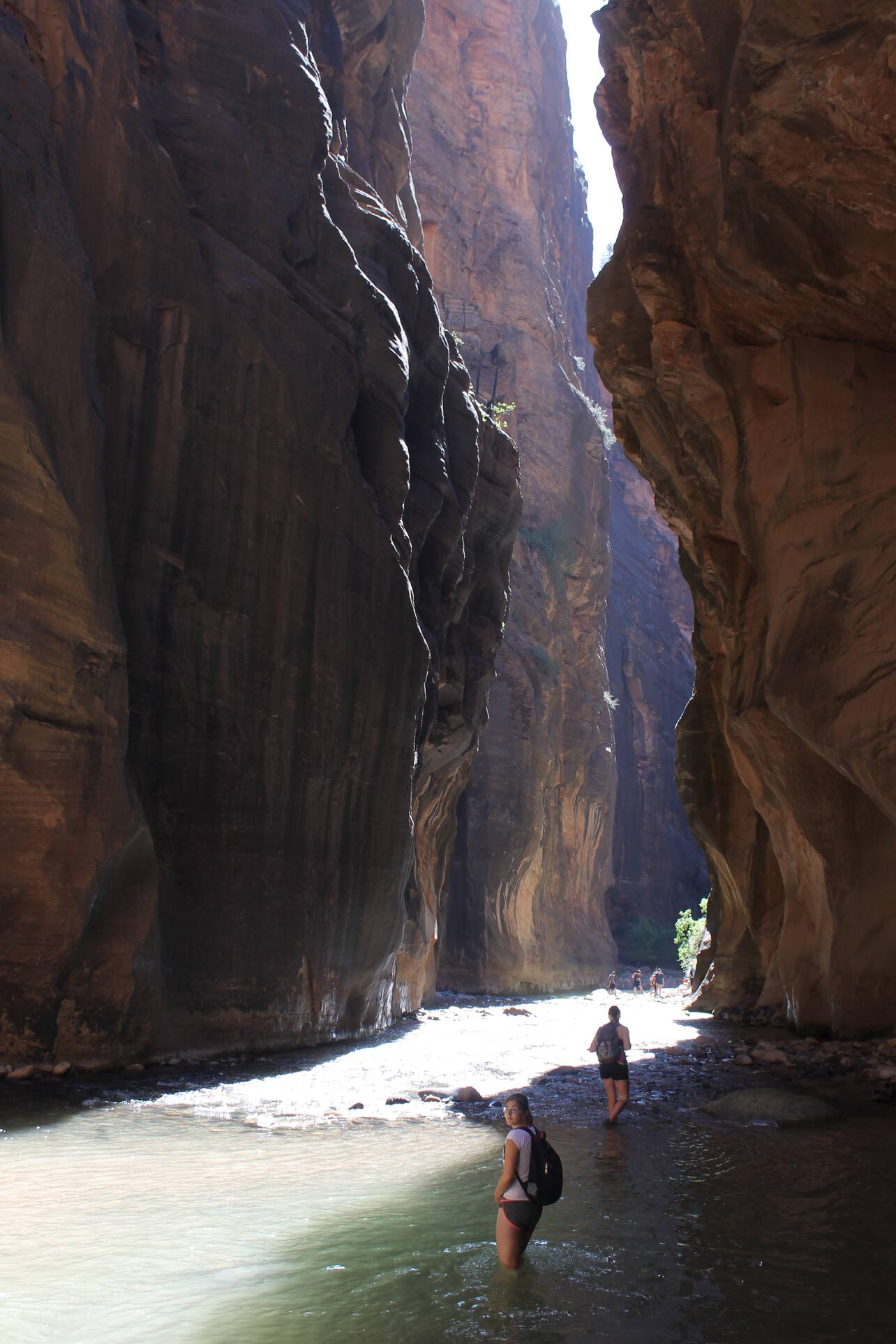 Zion NP